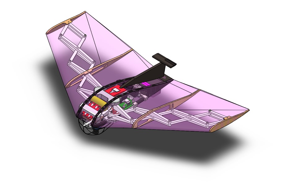 MCP’s delta-wing glider 