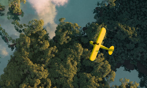 Yellow plane above a green forest