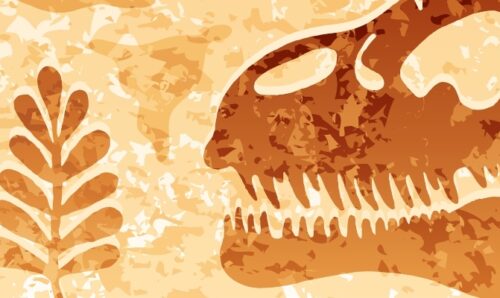 Visual representation of dinosaur fossils and prints.